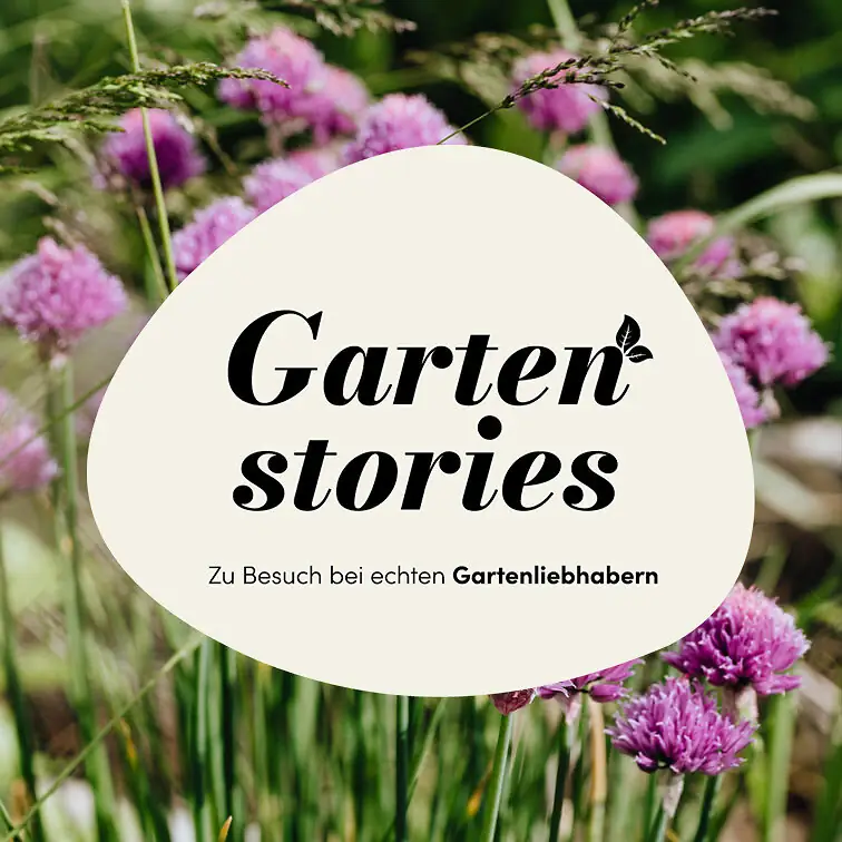gartenstories_button